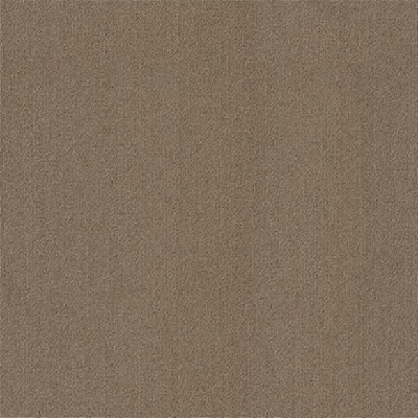 Picture of Philadelphia Commercial by Shaw - Color Accents 24 x 24 Portabella