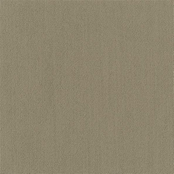 Picture of Philadelphia Commercial by Shaw - Color Accents 24 x 24 Sage