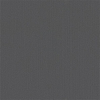 Picture of Philadelphia Commercial by Shaw - Color Accents 24 x 24 Slate