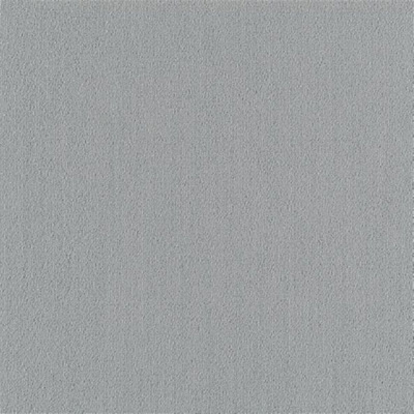 Picture of Philadelphia Commercial by Shaw - Color Accents 24 x 24 Sterling