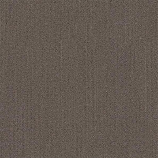 Picture of Philadelphia Commercial by Shaw - Color Accents 24 x 24 Taupe