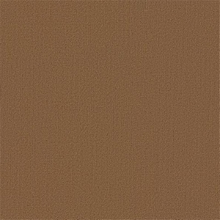 Picture of Philadelphia Commercial by Shaw - Color Accents 24 x 24 Tobacco