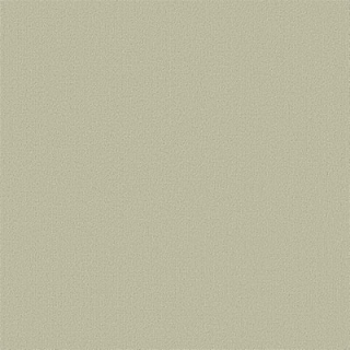 Picture of Philadelphia Commercial by Shaw - Color Accents 24 x 24 Tumbleweed