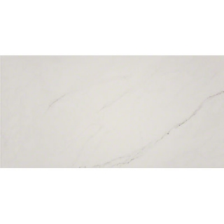 Picture of MS International - Aria 12 x 24 Ice