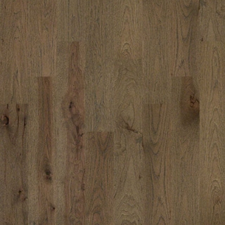 Picture of Shaw Floors - Castlewood Hickory Romanesque