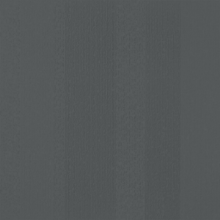 Picture of Johnsonite - Circulinity Fast Lane Black Magic