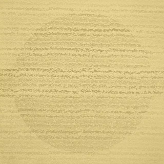 Picture of Johnsonite - Circulinity Round-A-Bout Canary