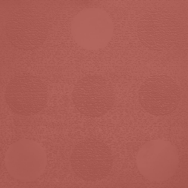 Picture of Johnsonite - Circulinity Tic-Tac-Toe Spicy Chip