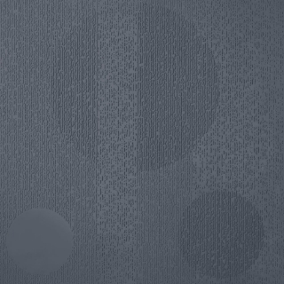 Picture of Johnsonite - Circulinity Tricycle Blue Intensity