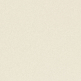 Picture of Johnsonite - Solid Colors Hammered Bone White