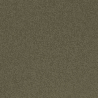 Picture of Johnsonite - Solid Colors Hammered Boxwood