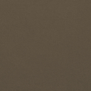 Picture of Johnsonite - Solid Colors Leather Grounded