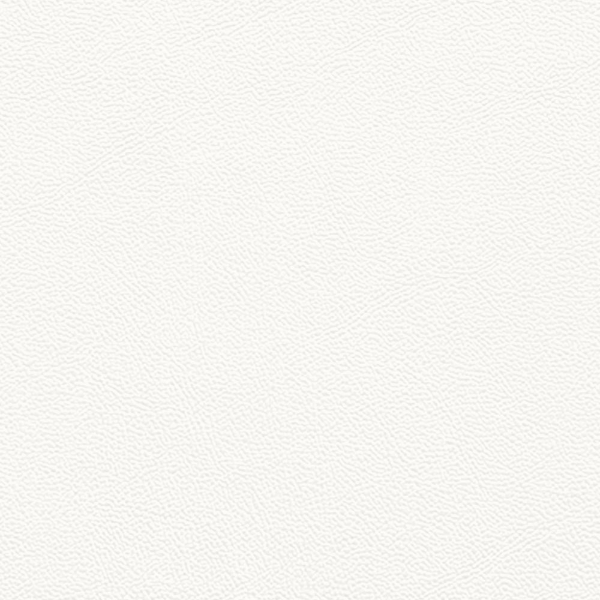 Picture of Johnsonite - Solid Colors Leather Icicle