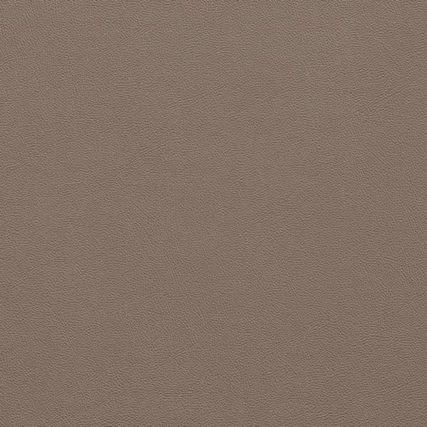 Picture of Johnsonite - Solid Colors Leather Neutrality