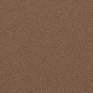 Picture of Johnsonite - Solid Colors Leather Rusty Nail