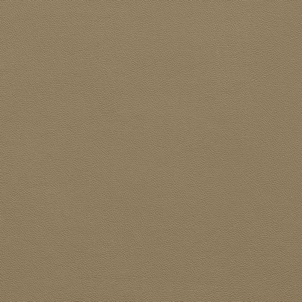 Picture of Johnsonite - Solid Colors Leather Tannery