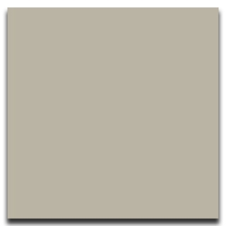 Picture of Johnsonite - Solid Colors Smooth 24 x 24 Macadamia