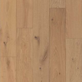 Picture of Shaw Floors - Castlewood Oak Dynasty