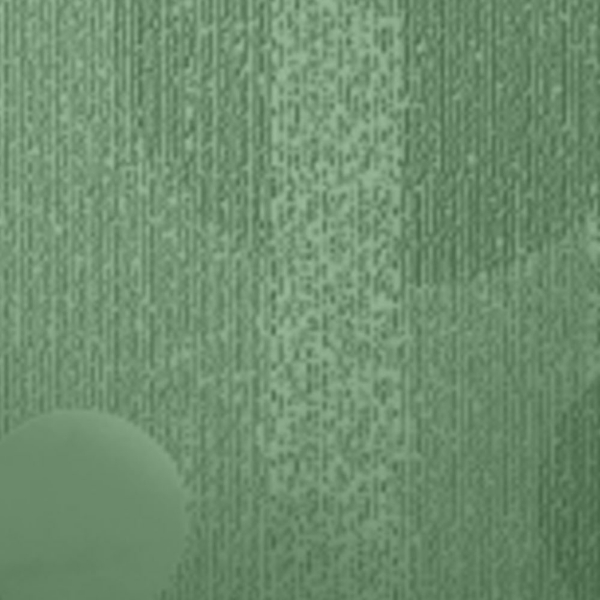 Picture of Johnsonite - Circulinity Tricycle Grinch