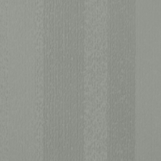 Picture of Johnsonite - Circulinity Fast Lane Green Smoke