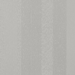 Picture of Johnsonite - Circulinity Fast Lane Mt Rainier