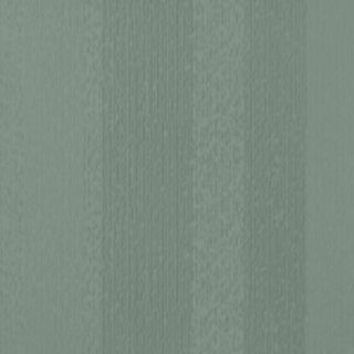 Picture of Johnsonite - Circulinity Fast Lane Green Vista