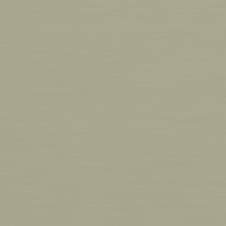 Picture of Johnsonite - Solid Colors Brushed Gecko