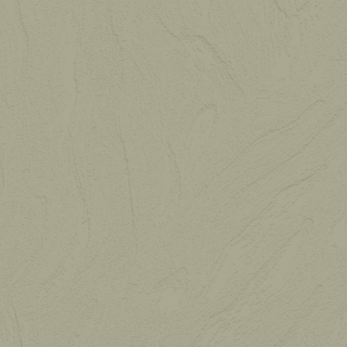 Picture of Johnsonite - Solid Colors Flagstone Gecko