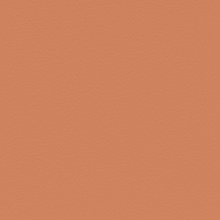 Picture of Johnsonite - Solid Colors Hammered Hot Spice