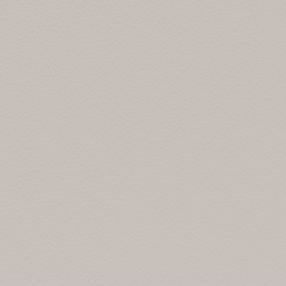 Picture of Johnsonite - Solid Colors Hammered Whispering Mist