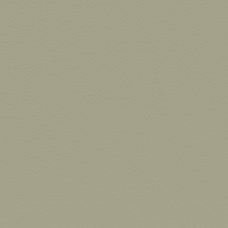 Picture of Johnsonite - Solid Colors Hammered Gecko