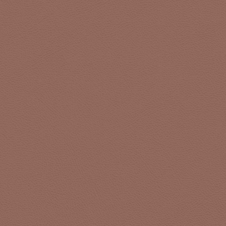 Picture of Johnsonite - Solid Colors Leather Misted Plum