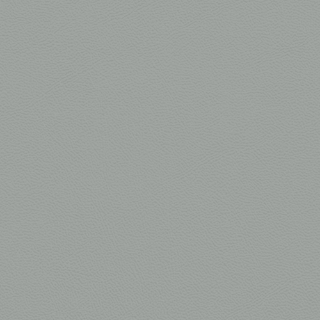 Picture of Johnsonite - Solid Colors Leather Green Smoke