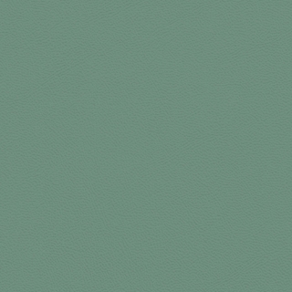 Picture of Johnsonite - Solid Colors Leather Grinch