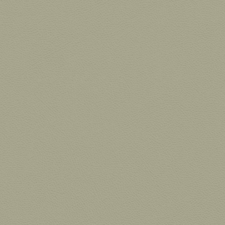 Picture of Johnsonite - Solid Colors Leather Gecko