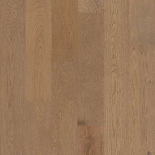 Picture of Shaw Floors - Castlewood Oak Estate