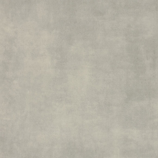 Picture of Amtico - Stone 12 x 24 Chatham Concrete