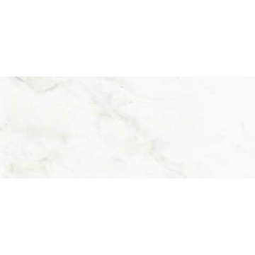 Picture of American Wonder Porcelain - Marble Folio 12 x 24 Polished Statuary