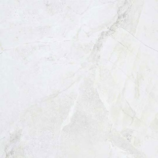 Picture of American Wonder Porcelain - Marble Folio 24 x 24 Polished Daino Reale