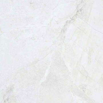 Picture of American Wonder Porcelain - Marble Folio 24 x 24 Polished Daino Reale