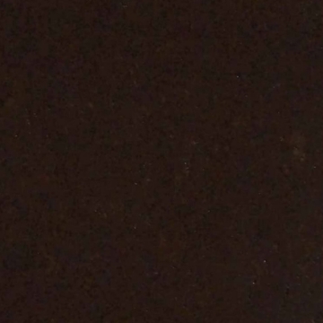 Picture of Globus Cork - Nugget Texture 12 x 24 Espresso