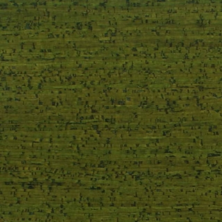Picture of Globus Cork - Striata Texture 24 x 24 Spring Green