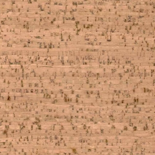 Picture of Globus Cork - Striata Texture 6 x 24 Bleached