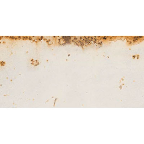 Picture of Ergon Tile - Metal Style 24 x 48 Revival