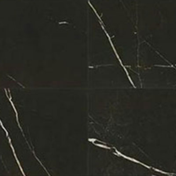Picture of Daltile - Marble Attache 24 x 24 Matte Nero