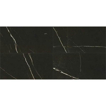 Picture of Daltile - Marble Attache 24 x 48 Matte Nero