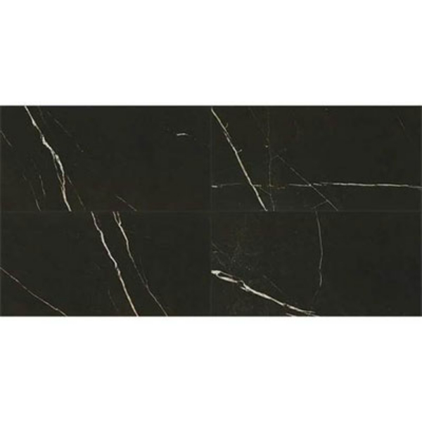 Picture of Daltile - Marble Attache 24 x 48 Matte Nero