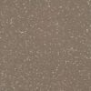 Picture of Flexco - SpexTones Radial High Profile Dark Beige w Seashell Fjord