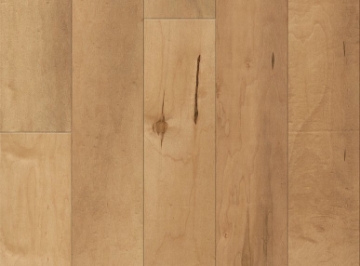 Picture of Anderson - Ellison Maple Charismatic