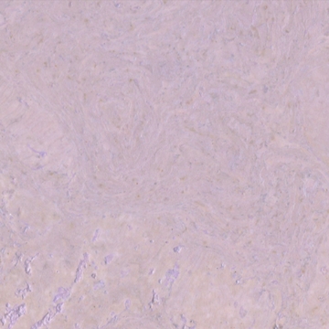 Picture of Globus Cork - Nugget Texture 12 x 36 Lavender